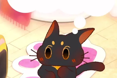 Sira APP blurred background